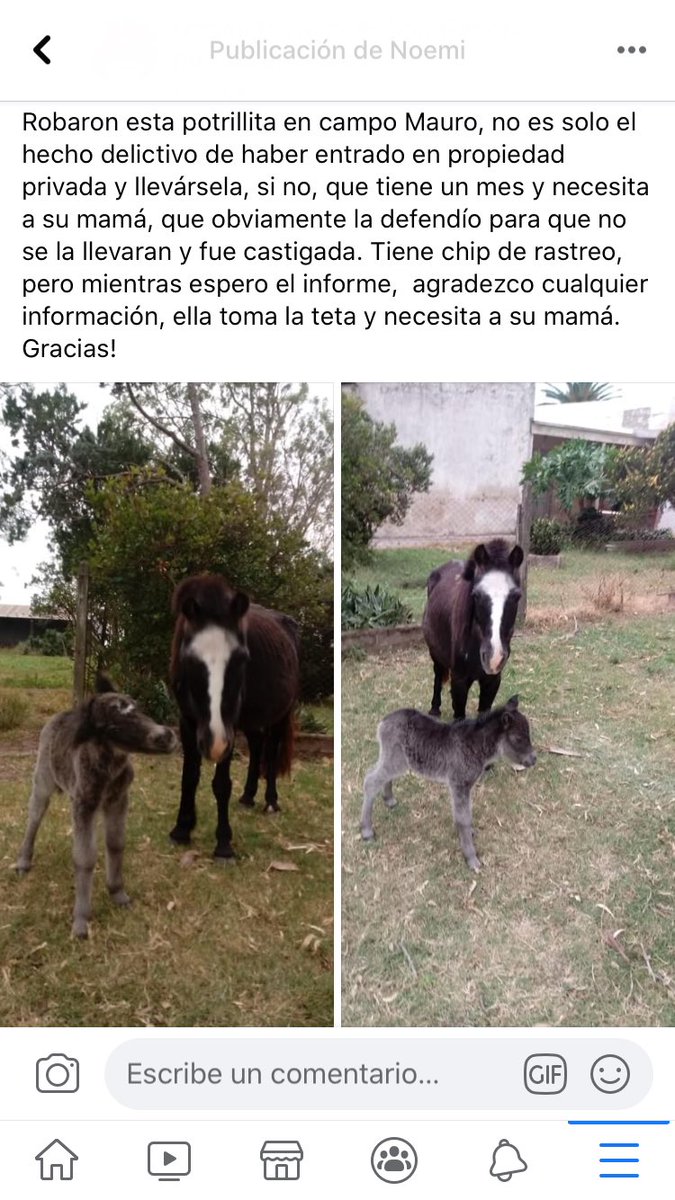 MariaPirchio's tweet photo. Agradezco cualquier tipo de información y si me ayudan a difundir serviría de mucho🙌🏽 https://t.co/3NFzPX19ew