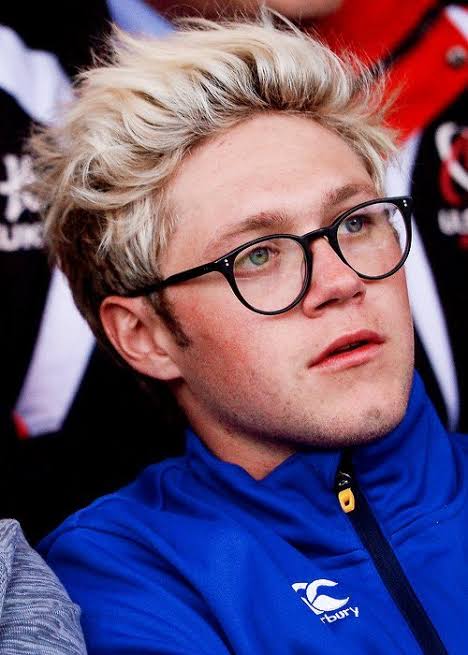 《niall horan in glasses: a short but necessary thread》