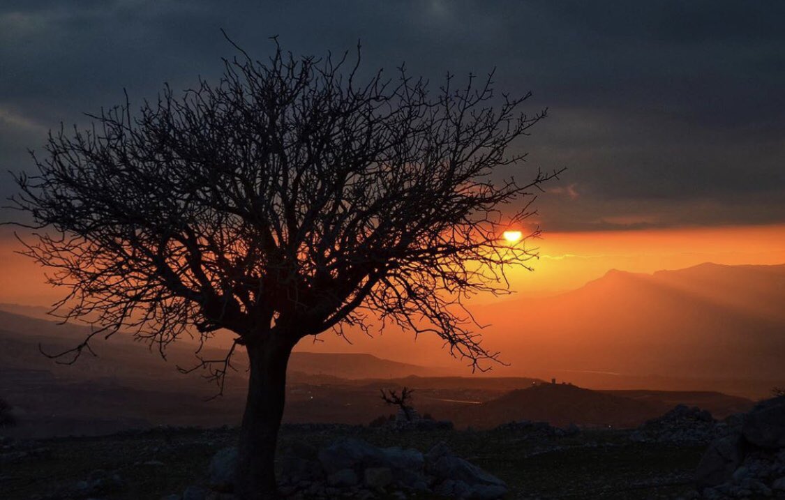 tubatan__'s tweet photo. Canımm #Şırnak https://t.co/bMBbkUnNzd