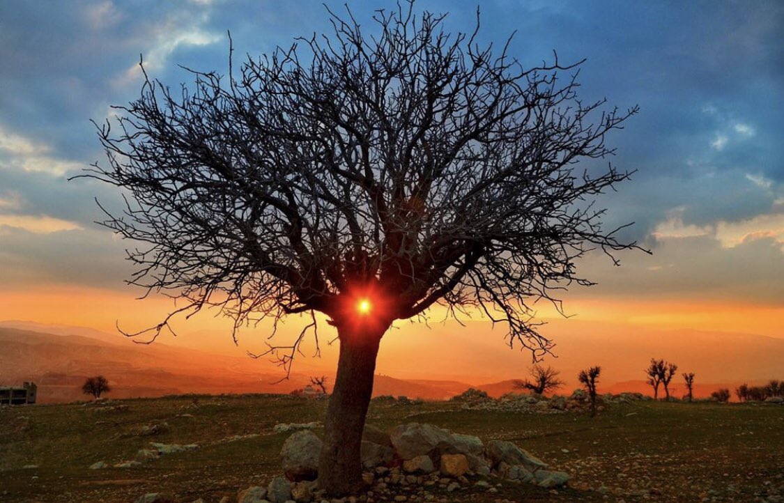 tubatan__'s tweet photo. Canımm #Şırnak https://t.co/bMBbkUnNzd