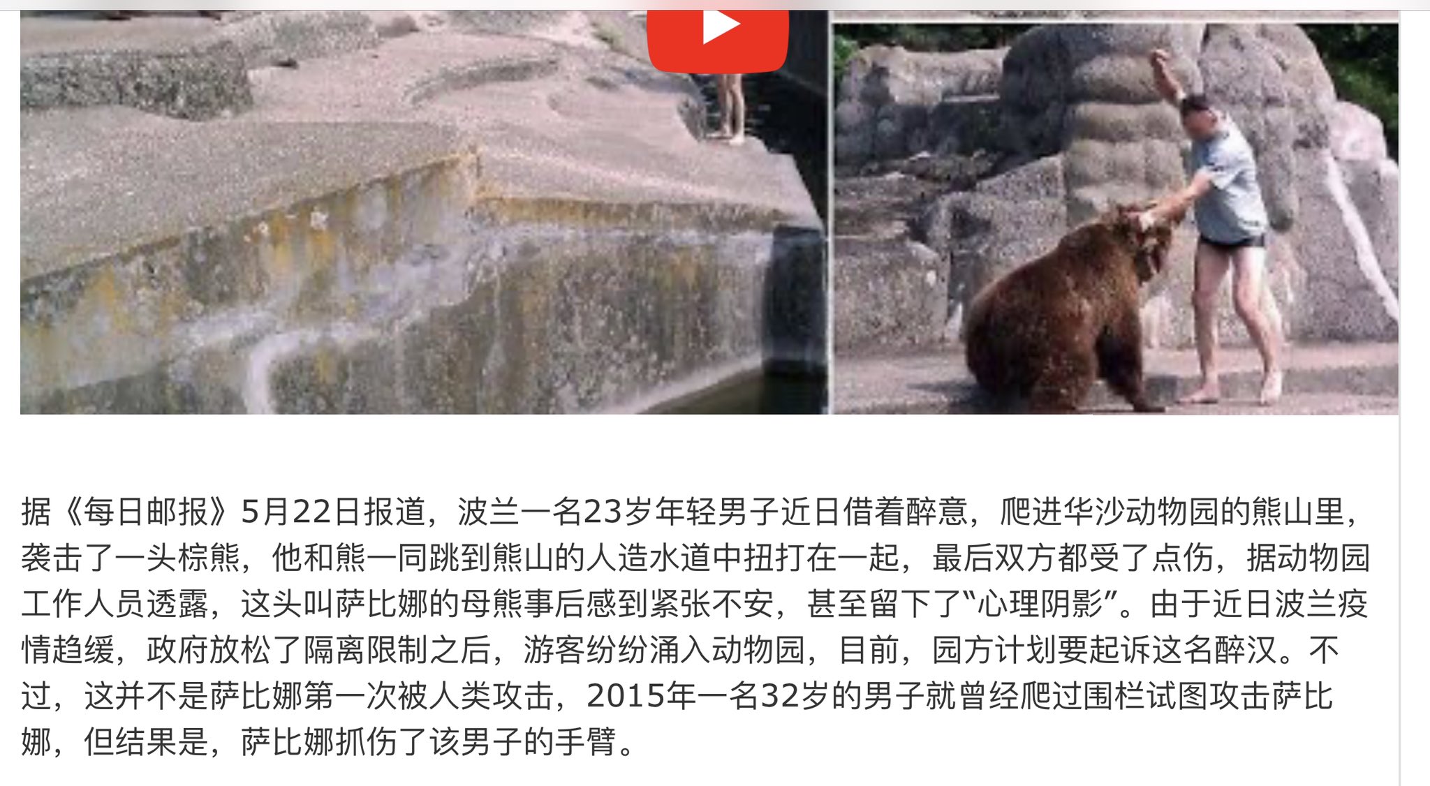 老司机twitterissa 憋疯了 解封后波兰酒醉男子去动物园跟母熊打架网友评论 还是中国男人本份 喝醉了只会打老婆 T Co Qrmm3wscon Twitter