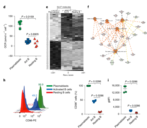 mmw_lmw's tweet photo. #Humoral_Immunity to #Malaria | impared by infection-induced #Plasmablasts that are a nutrient sink | Plasmablasts are metabolically hyperactive | Noah Butler @uiowa @NatImmunol https://t.co/oH86HD25ER https://t.co/vSfCN1Vyum