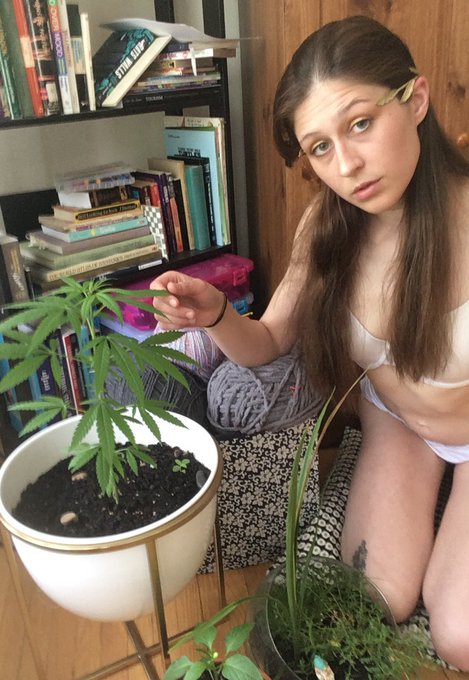 Me and my plant family are glowing and growing 🌱✨ https://t.co/cUAybNhBHF<a href="/tag/nsfw"class="tags"><span>#nsfw</span></a>