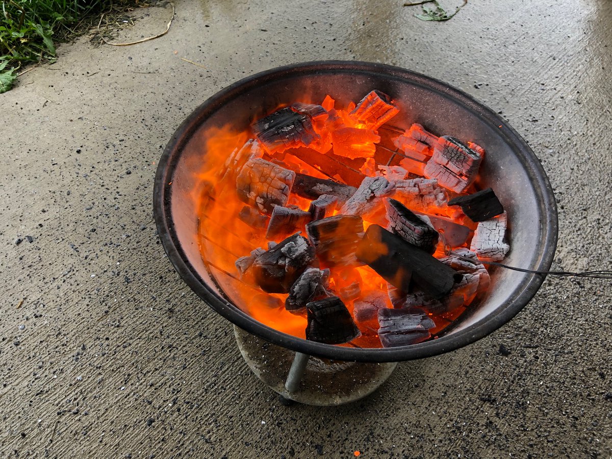 It got hit enough to melt the inner grate in the grill. Oops.