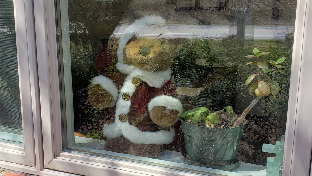 If you saw our bear while driving by, we part of the teddy bear hunt.
The idea is that while you're out on a walk or bike ride, your kids can be on the lookout for teddy bears in the windows of homes. It's something families can do without interacting with others.