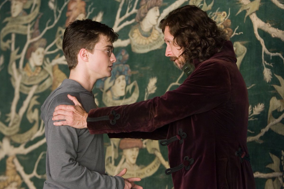 my opinion on harry and sirius' relationship: a thread 