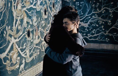 my opinion on harry and sirius' relationship: a thread 