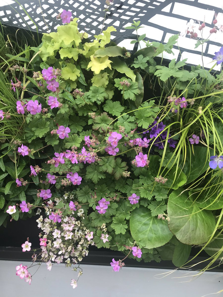 Sheffield has a new living wall designed by <a href="/NigelDunnett/">Nigel Dunnett</a> and @Jo_Peel on @YArtspace It’s looking good! 💚