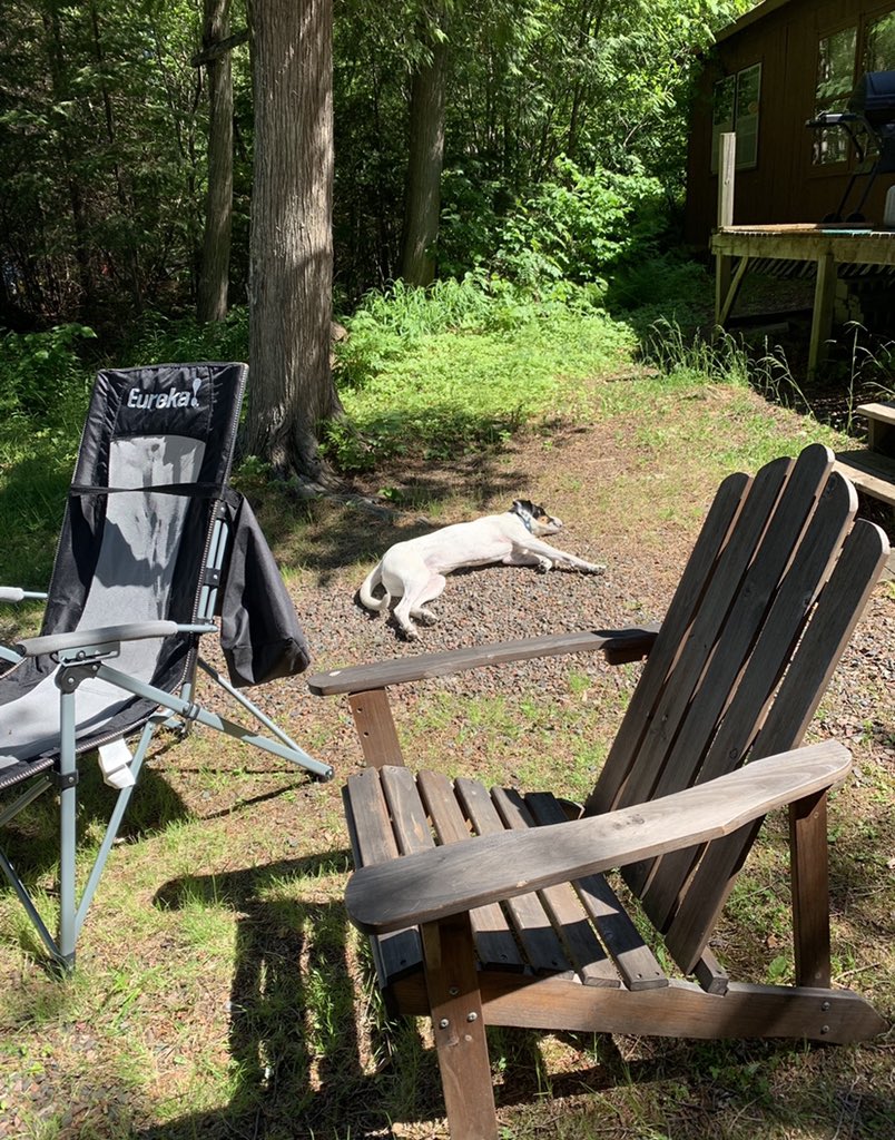 ChrisParno's tweet image. Heading up the North Shore for some cabin time!! Auggies first trip!! Milo will clearly be back in dog heaven as well. #Lutsen #GrandMarais #LakeSuperior  #NorthShore #LandOfNoService