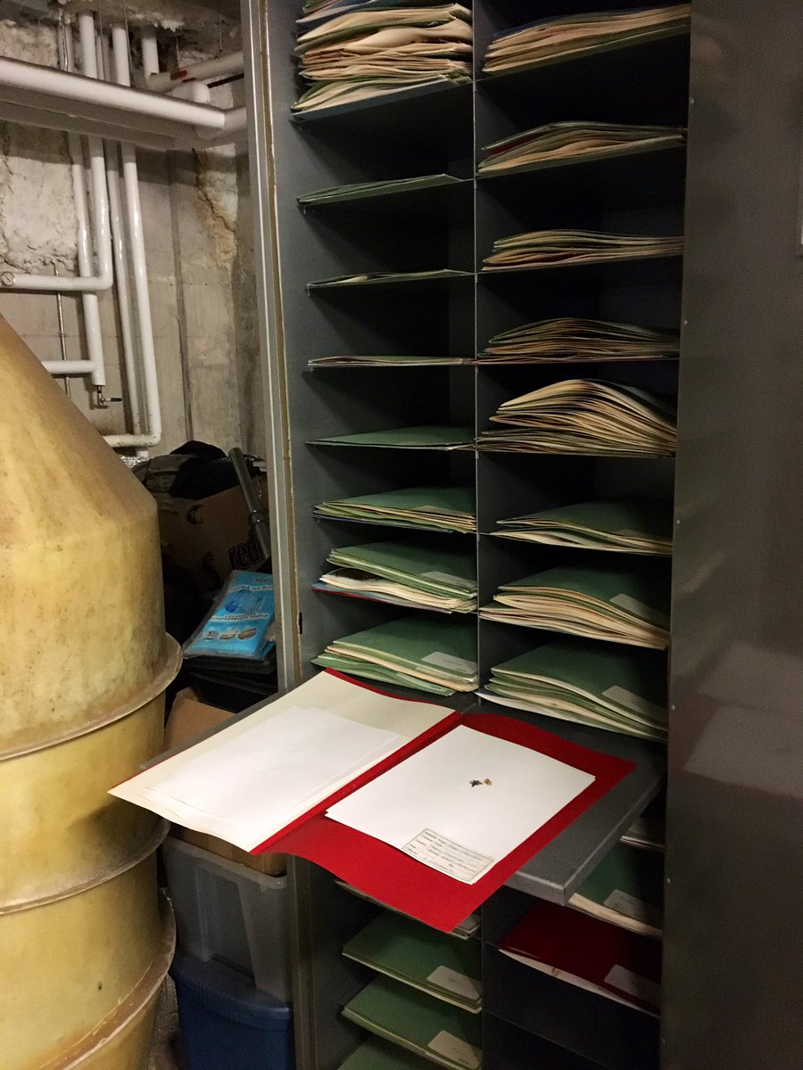 dawnbazely's tweet photo. Wow 😯 
#YorkU Herbarium plants from the 1960s to 1980s. Including from NWT sites that may now be Nunavut. https://t.co/N5ldC7R4t0