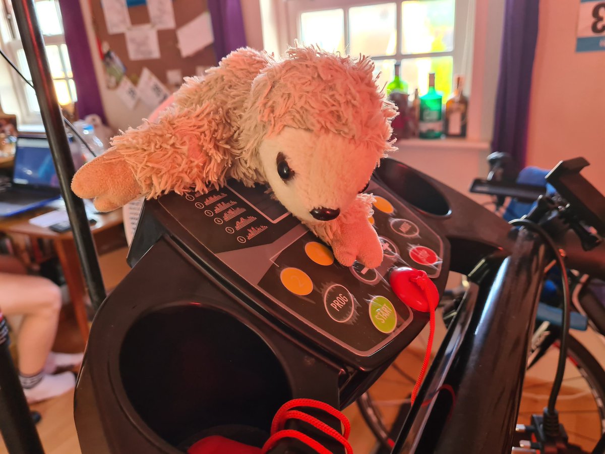 BikesandLaces's tweet photo. Had a fab day today with the stream, raced on @GoZwift and enjoyed a relaxing afternoon!! Enjoy the rest of your Bank Holiday all!!! #RunRideLive #RunRideRecover @UKRunChat @UKCycleChat @UkTriChat @gorunbikerun https://t.co/4XibRTHXji