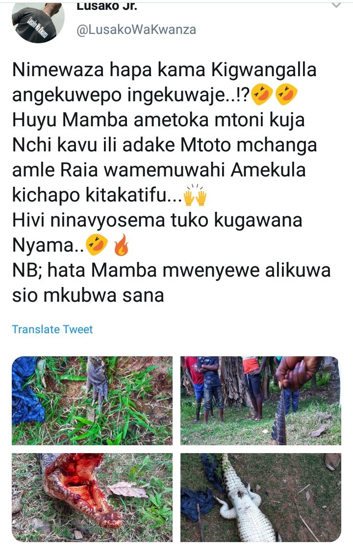 GellarJr's tweet image. Hii KO ya leo  ni hatarr,😂🔥 mwanzoni ndug. @HKigwangalla aliingia kwa rafu moja pasi na mshambuliaji makini @LusakoWaKwanza hakutaka kuachia  draw akardisha mpira kwa mkwaju wa mwisho na kuwa goli murua kabisa😂🔥
#twitterVAR 
#Funny