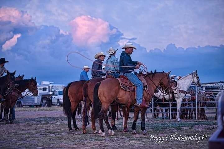 AroundKansas's tweet photo. No Fort Wallace Rodeo this #memorialday weekend, but thankfully it has only been POSTPONED! 🐎💜🐎
Please plan to join us Labor Day Weekend, Sept 5-6, 2020 in Wallace, KS for our great #rodeo  tradition! (AMAZING photo by Peggy's Photography in Sharon Springs) #AroundKansas https://t.co/SOwnwEGdI9