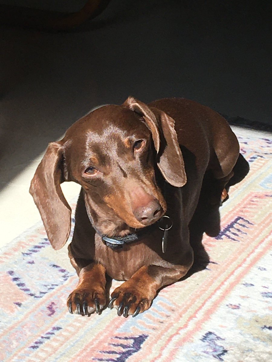 Nacho Cerda tweet media