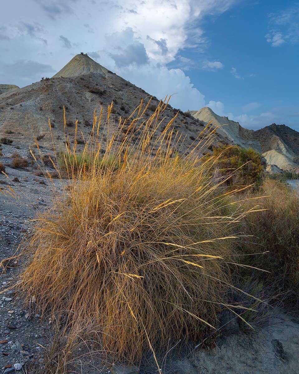 Desierto de Tabernas. #Almería.
(Fotografía de @frittfallfoto.no en Instagram)