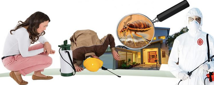 Böcek İlaçlama Şirketi
Modern teknikleri ilaçlama hizmet yapan Yiğit Çevre Mühendisliği ev ve iş yerleriniz için profesyonel çözümler sunar ve tüm böcek, haşere sorunlarınızı giderir.
yigitcevre.com/bocek-ilaclama…
#böcekilaçlamaşirketi #ilaçlamaşirketi #ilaçlamahizmeti #ilaçlama