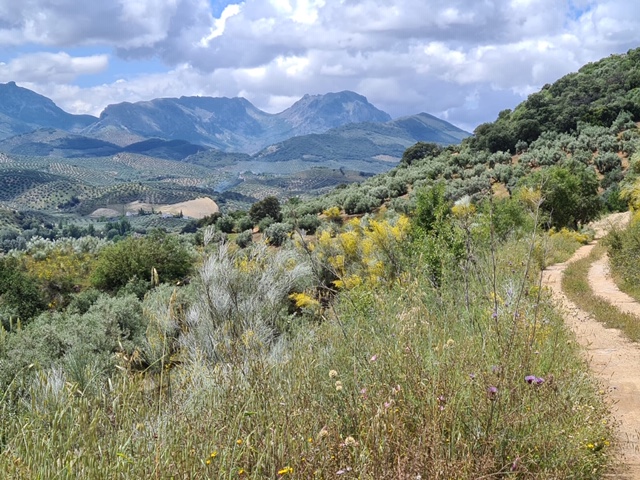 Check out the beautiful #nationalpark right on our doorstep! #lasubbetica #parquenatural #cyclists #wildlifebiologist  #walking #hiking #mountainbiking #mountain #RealSpain #Andalucia