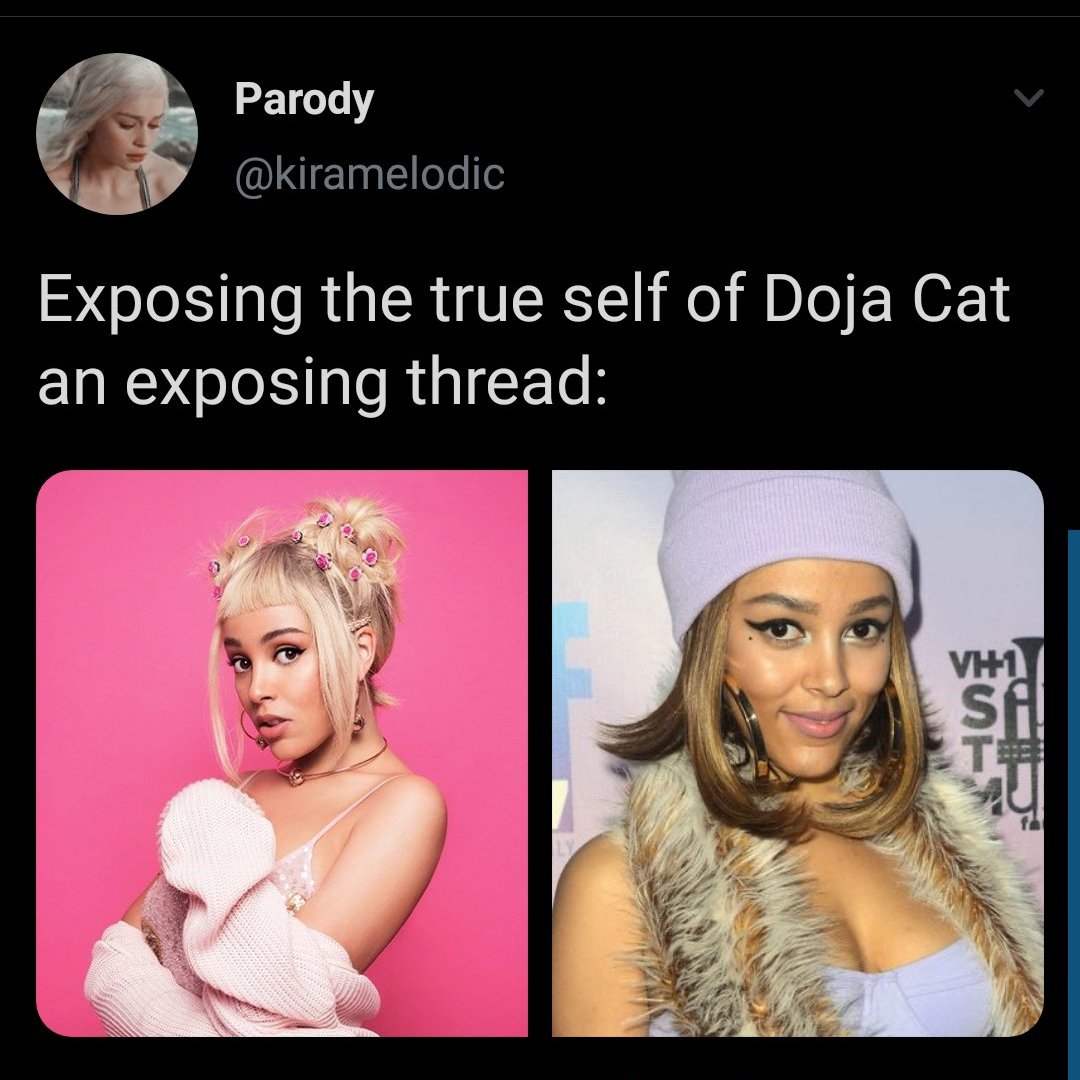 yesterday, someone exposed doja cat for being racist in a chat room. even thought there was no proof she was racist people started to cancel her.