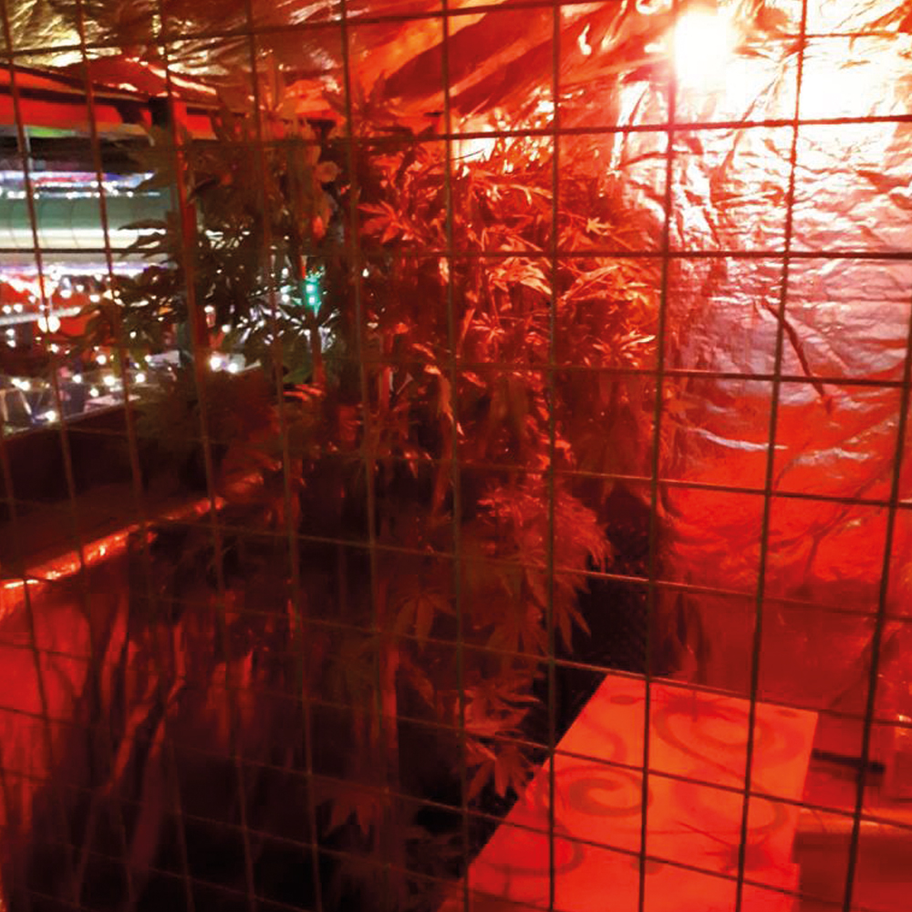 Golf Fang Liverpool tweet media