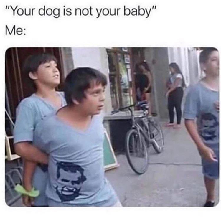 Bradee Leigh Garner (@bradeeleigh_) on Twitter photo 