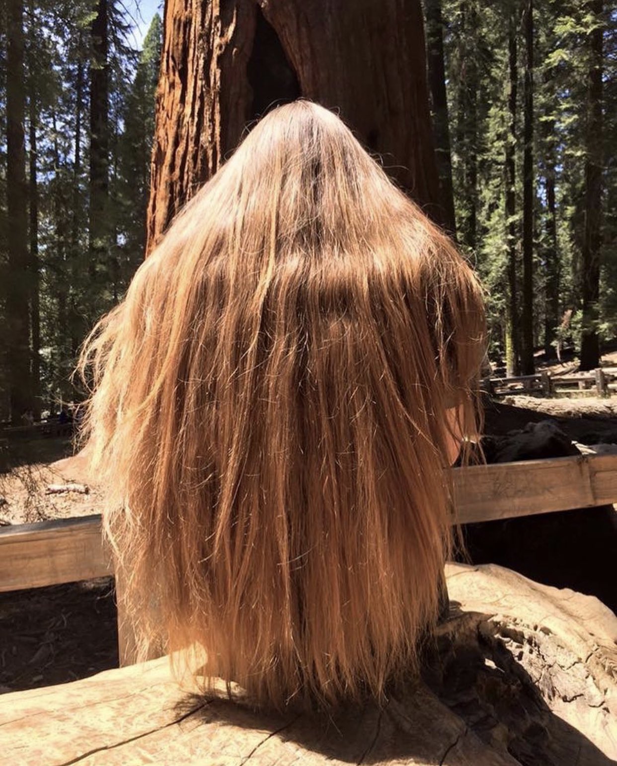 IRA BLACK on Twitter