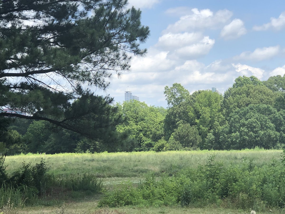 burgetta_nando's tweet photo. A lovely day for a 2.5-mile walking tour of @DixPark followed by a picnic in the shade. 5 stars. #iloveraleigh https://t.co/KRzPQmTjqf