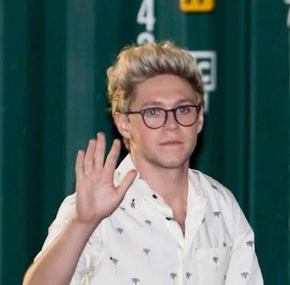 《niall horan in glasses: a short but necessary thread》