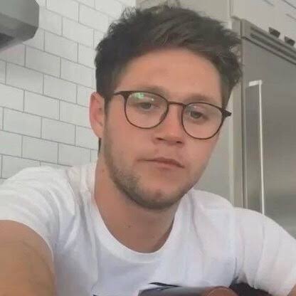 《niall horan in glasses: a short but necessary thread》