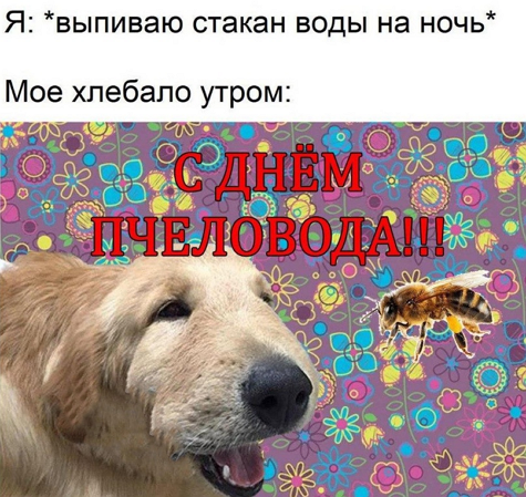 Ужасные мемы (@so_mad_so_funny) on Twitter photo 