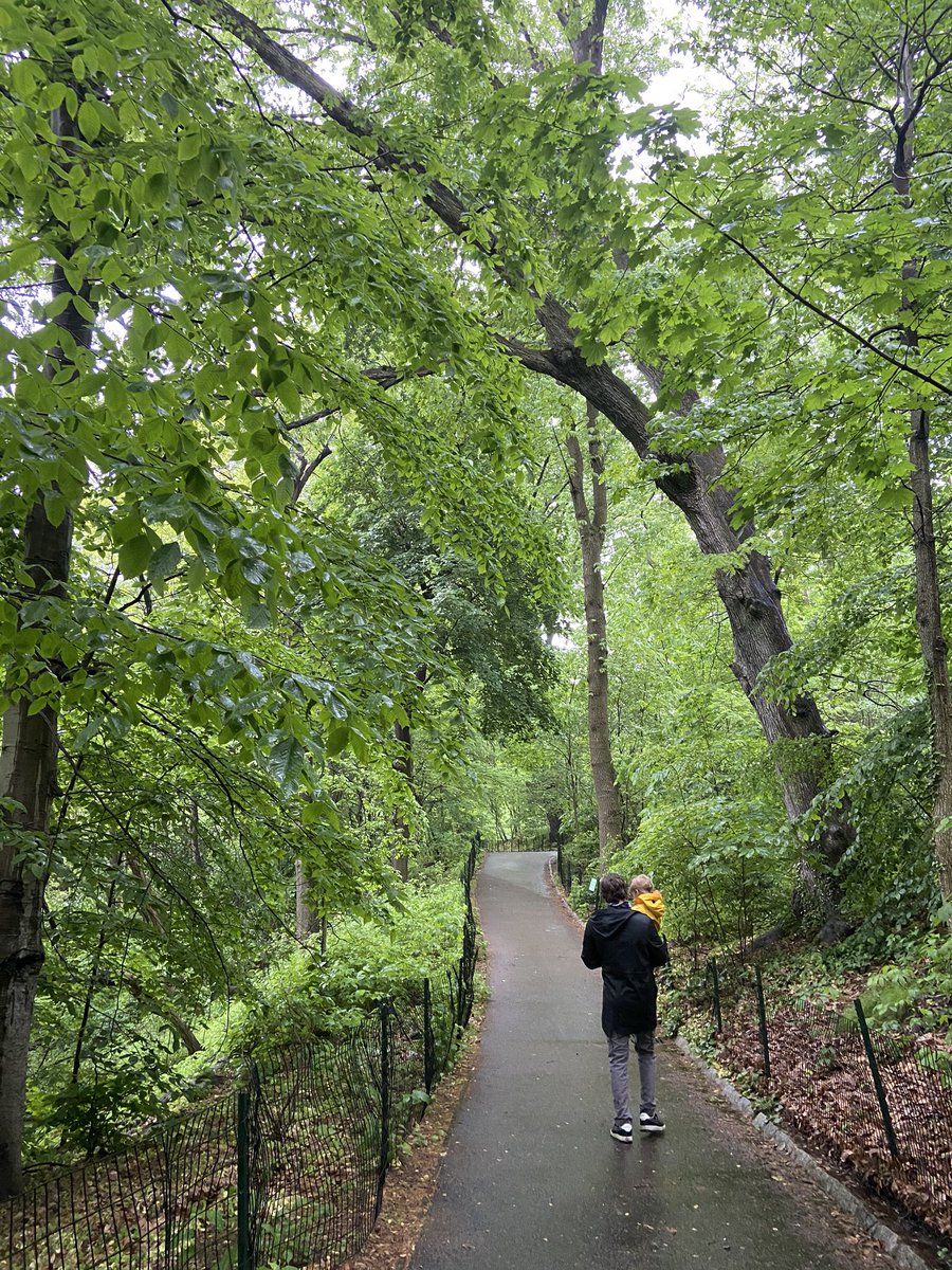 ElizabetADavis's tweet photo. a rainy Central Park this AM. 

TX isn’t the only place for natural social distancing. 

#TwoHomes &amp; #MyTwoLoves https://t.co/kFoBUDOGzE