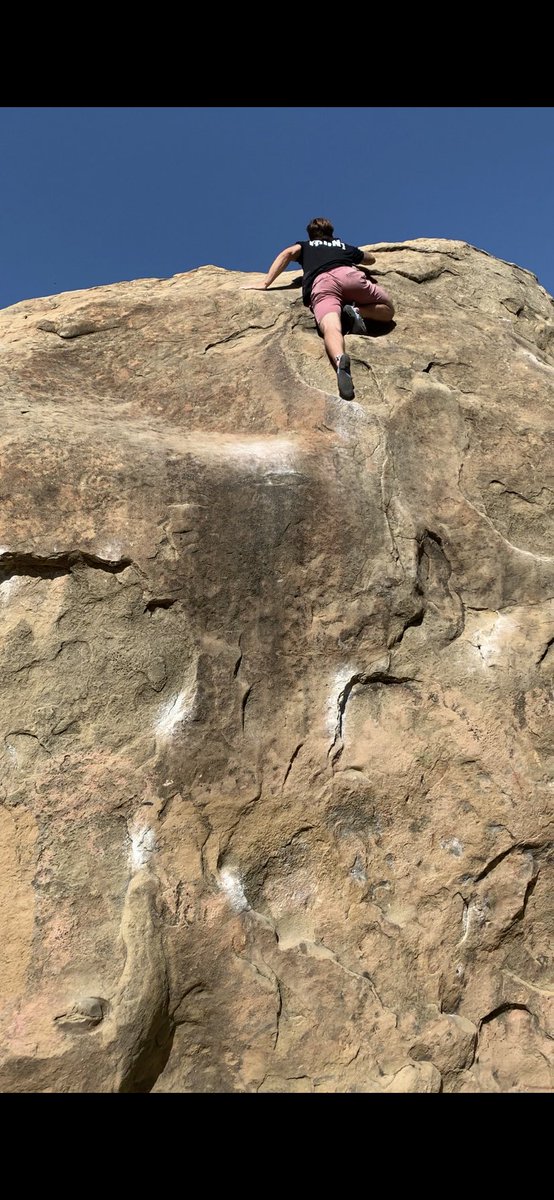 KingJaws00's tweet image. Leaping Lizard V5 ✔️ #FrontBack