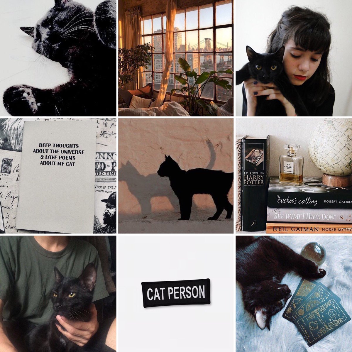 felis. she has it hard enough as a witch trying to fit in the normal world, but things would be a lot easier if her familiar didn’t suddenly find her downstairs neighbor to be the most interesting person in the world. but maybe, just maybe, there’s more to him than it seems