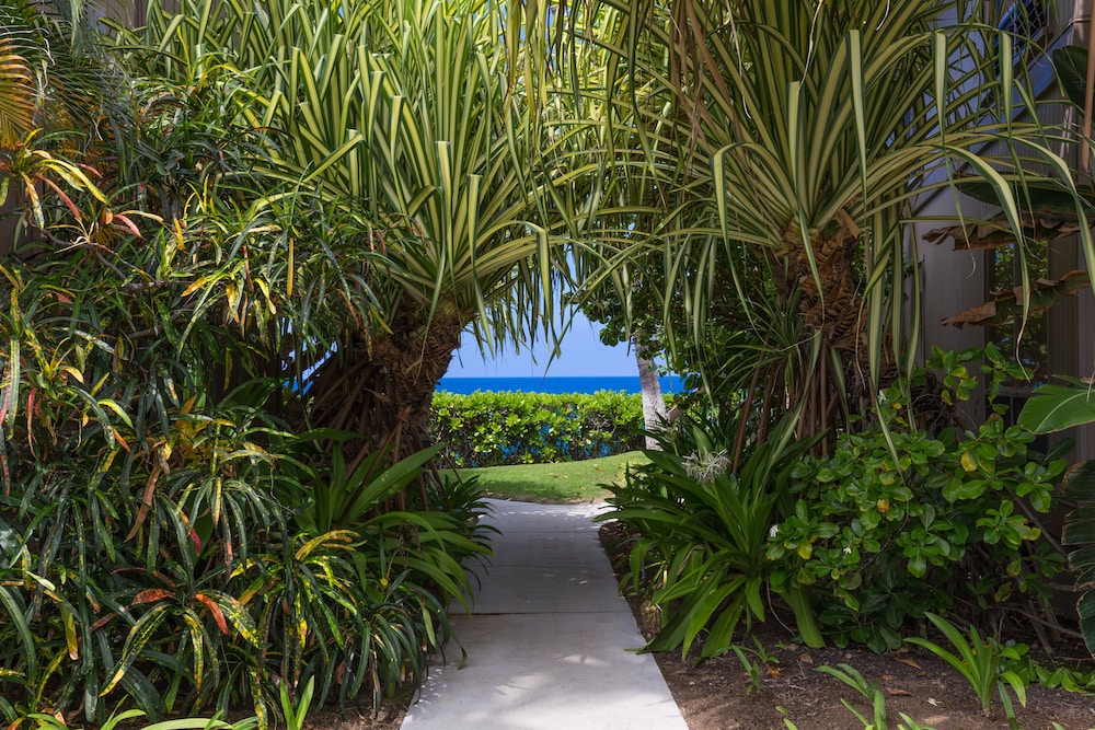 JetPinkVacation's tweet photo. We currently have over 80 week stays at Kanaloa at Kona by Castle Resort on the Big Island of Hawaii starting at only $513 for the week!  #travelmore #giveback https://t.co/9aC1XTRZpI