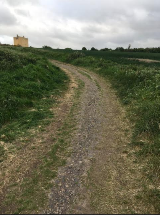 It doesn't look much, but this route runs from a medieval tower house to a long-established farm. It's likely to be a very old route, pretty much off the beaten track for a long time, but - like many such tracks recently - becoming more beaten again.