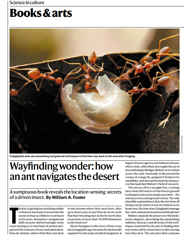 1.  @Nature Books and Arts section used them to illustrate an article about desert ants... https://twitter.com/Padraig_Kennedy/status/1214987532871618560?s=20
