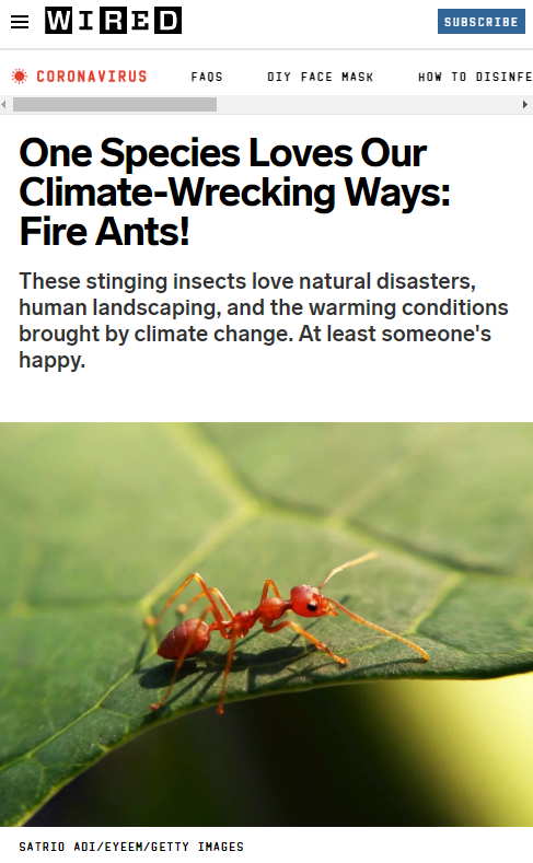 3.  @WIREDScience magazine used them for an article about red imported fire ants... https://www.wired.com/story/one-species-loves-our-climate-wrecking-ways-fire-ants/