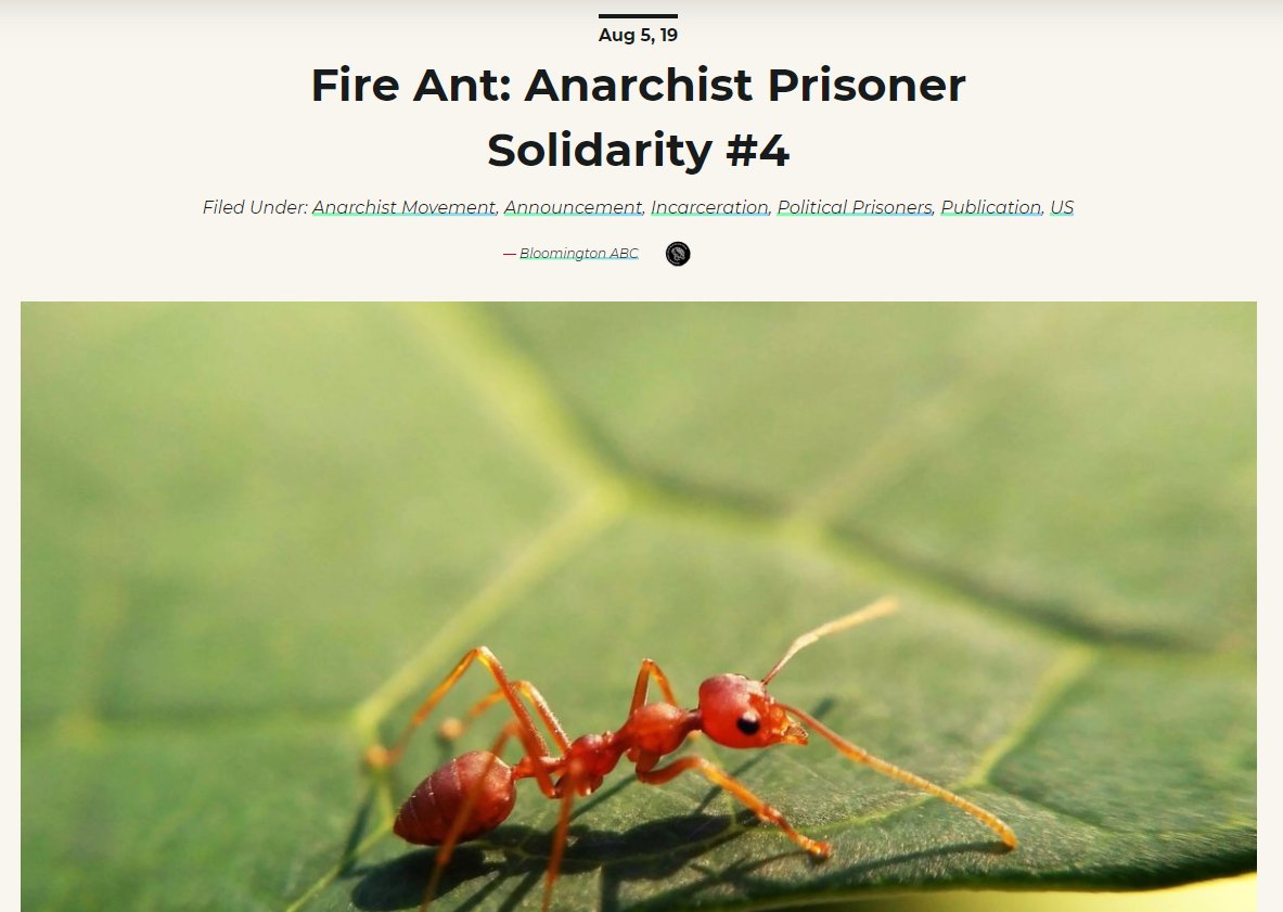 (...as did, incidentally, a random website about anarchist prisoners (?) ( https://itsgoingdown.org/fire-ant-anarchist-prisoner-solidarity-4/) and a student paper from Nottingham Uni ( https://igniteunmc.com/introducing-the-curious-fire-ants/)):