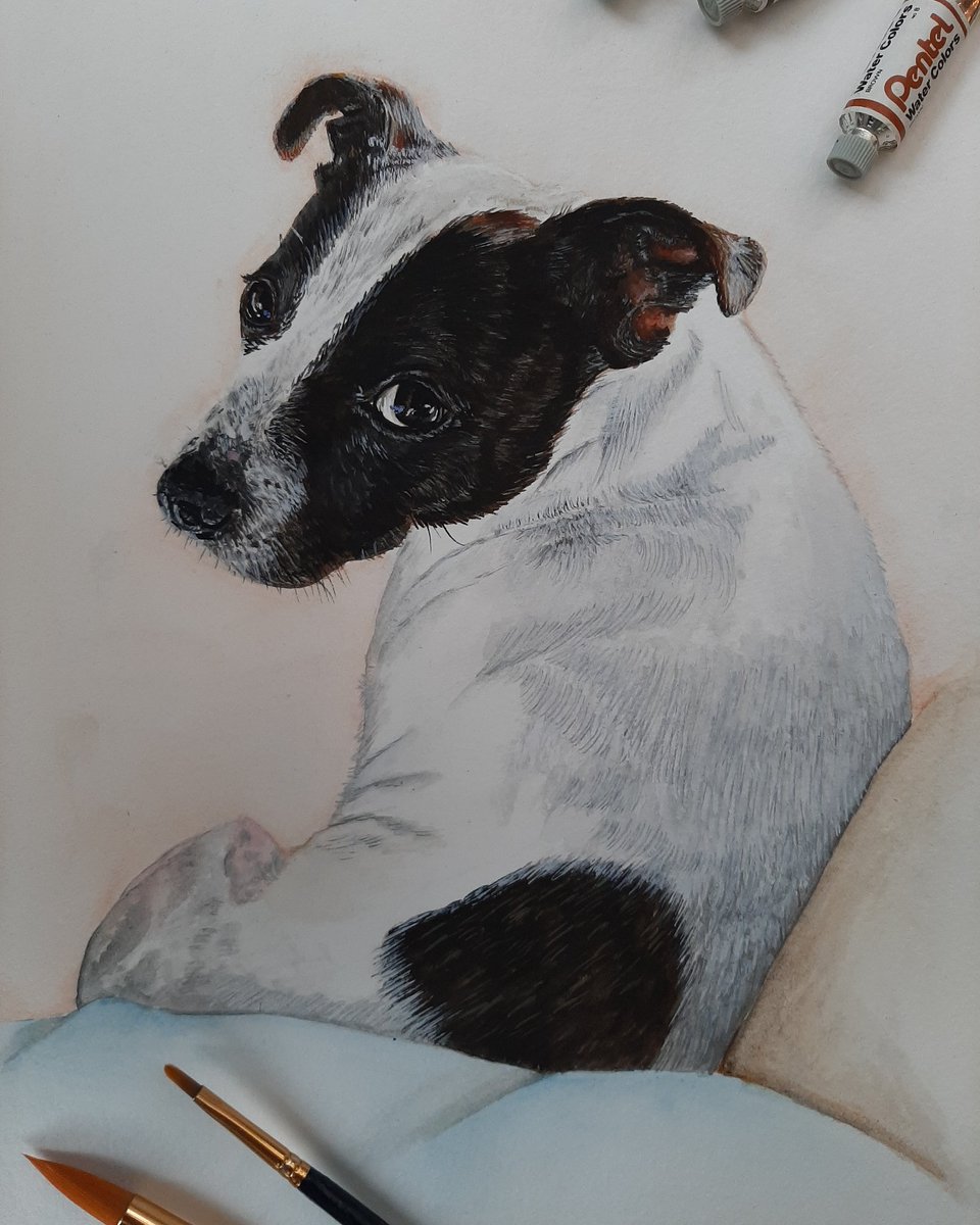 Paw-traits: Digit the Staffy 🐶🎨🖌 #art #staffordshirebullterrier #staffy #dogsoftwitter #Watercolour #watercolorpainting #petportrait #Dog #doglovers #StayHome @staffymoments