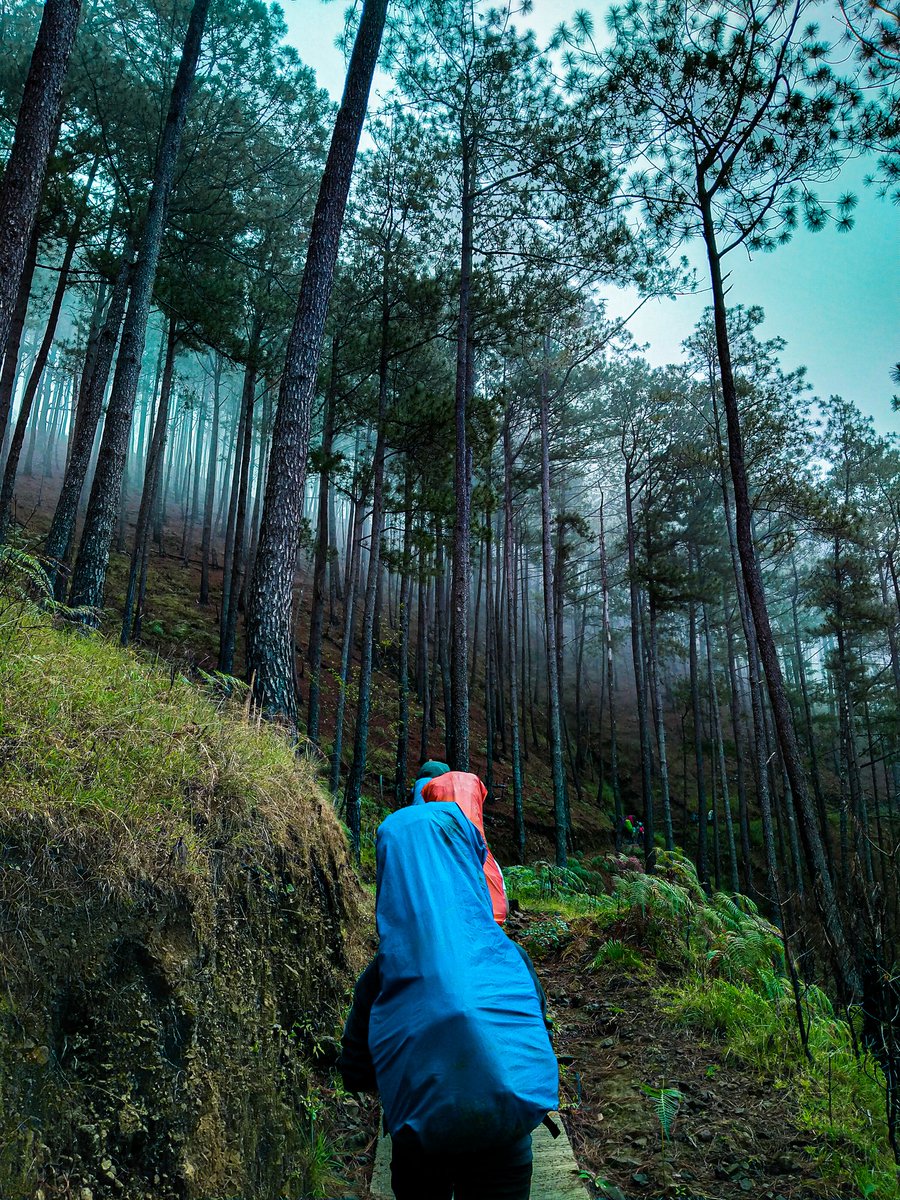 tzuyubakeshop's tweet photo. I ♥️ Bokod, Benguet
#adobelightroom #pinasmuna #bokod #tipmc https://t.co/fZi984FLtp