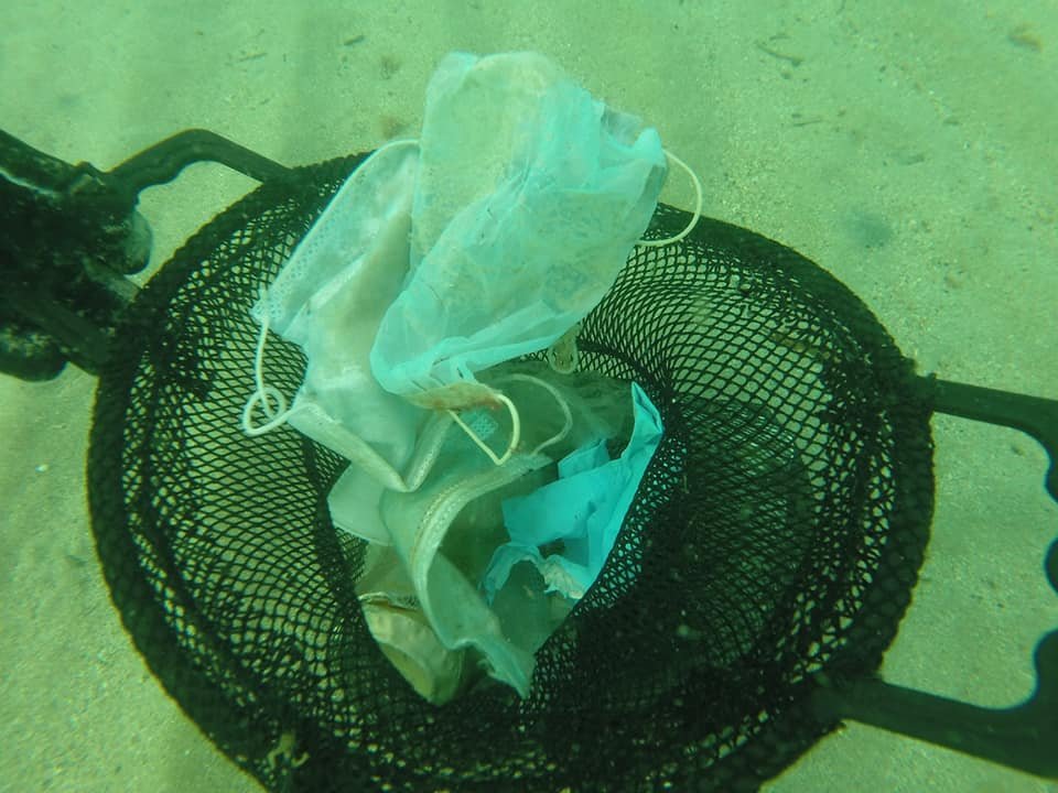 SyloooOooo's tweet photo. On essaie de régler une catastrophe et on en crée une autre.. Les 1ers masques jetables sont arrivés en Méditerranée..🤮
C'était malheureusement prévisible vu le nombre de masques et gants jetés dans les caniveaux...L’humain, virus de la terre.. quel anticorps peut l’arrêter ? 😥 https://t.co/1MJJ85O6gM