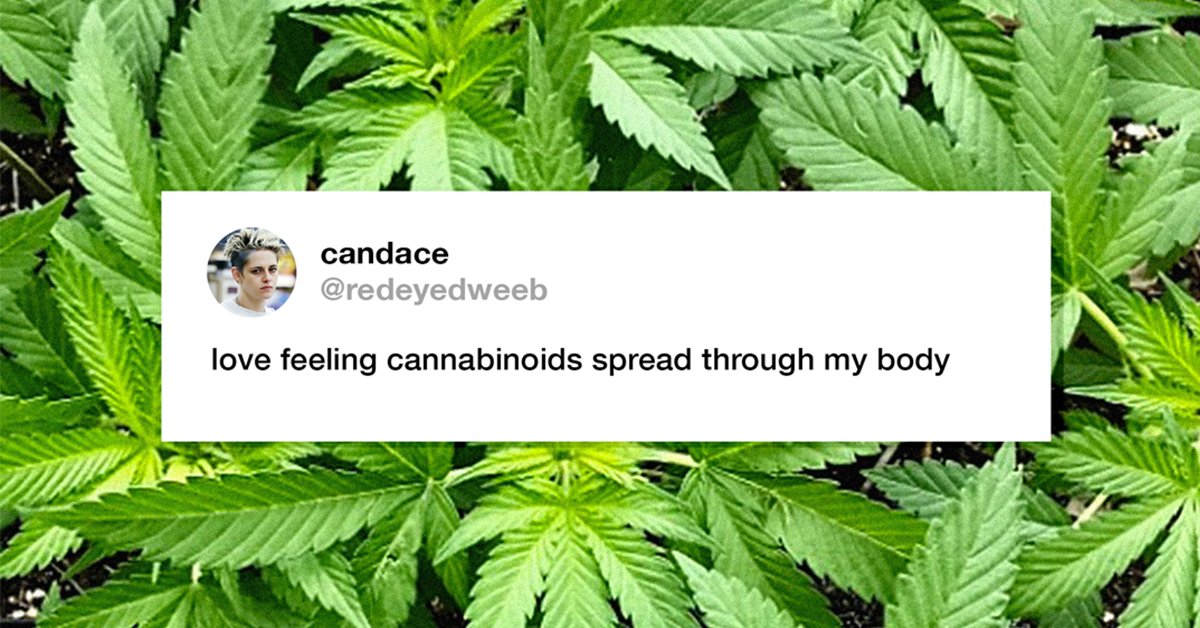 It’s amazing the difference our #FullSpectrum #HempOil makes. When your body can tell, you know you’ve made the right choice. #MeetSynchronicity