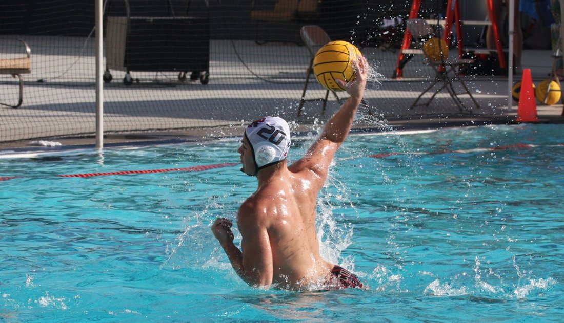 Michael Spence, Co-Captain and VP of Men's Club Water Polo is today's featured #SeniorSpotlight. He's a 3-time CWPA New England Division Conference First team honoree and this year was named MVP! He also helped lead the team to their 4th divisional title &amp; nationals appearance!