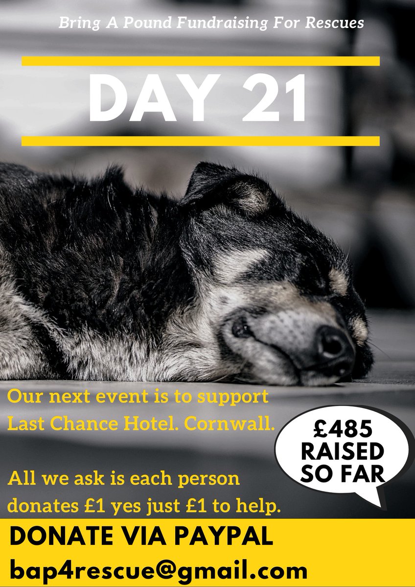 Bring A Pound For Rescues tweet media