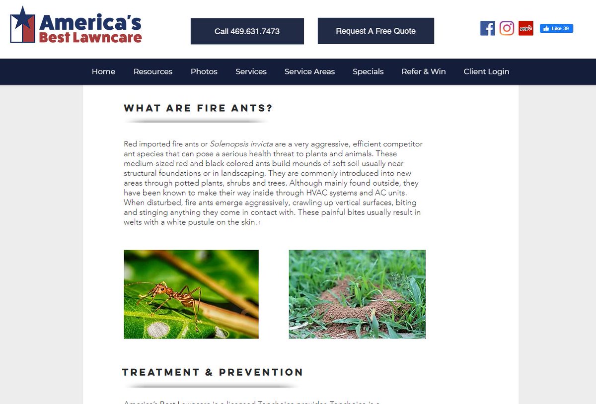 5. There are loads of pest control websites in the US with big pictures of them for some reason: