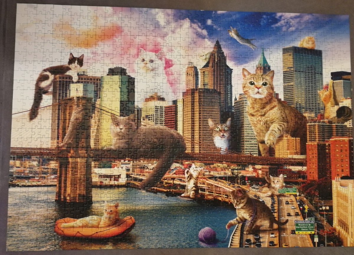 JessViner30's tweet photo. The latest jigsaw felt very lockdown appropriate... #catstakingover #bonkers https://t.co/fgBf0gGKcA