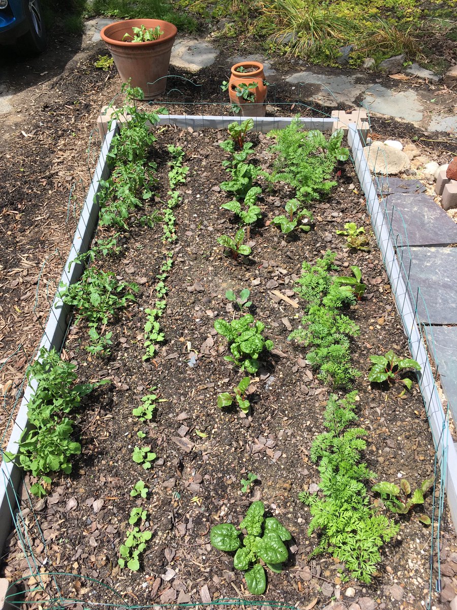 garden status