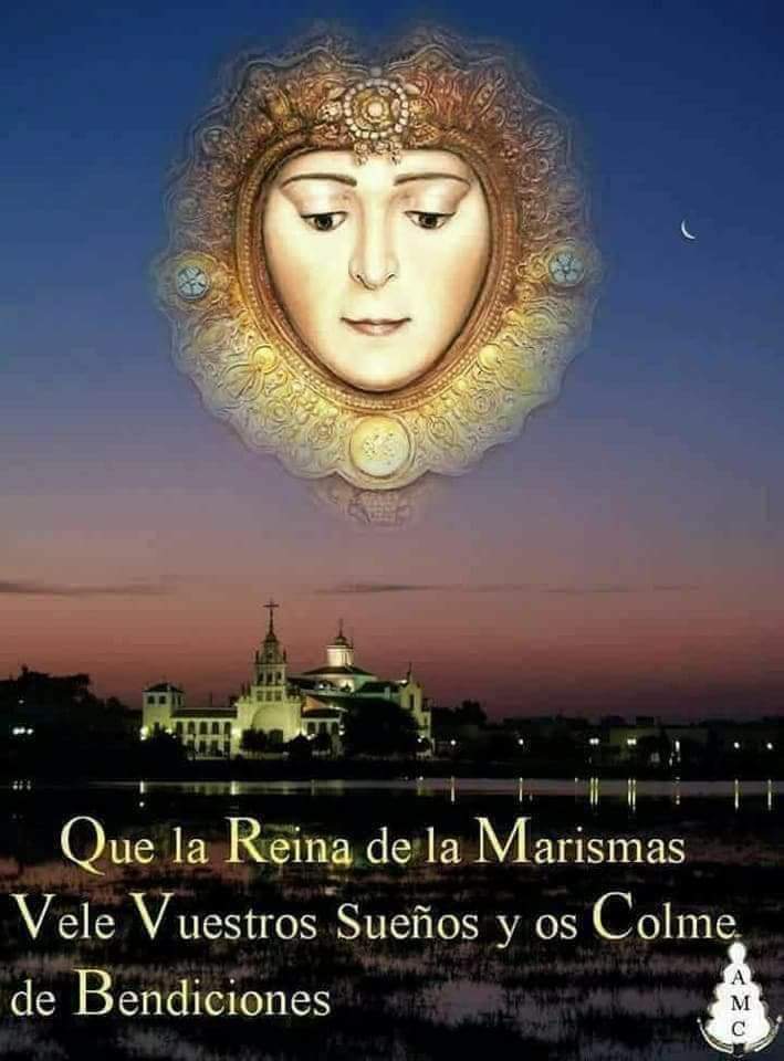 Maricarmen Malaver (@makave1954) on Twitter photo 