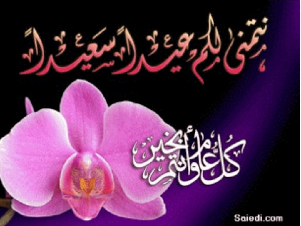 raniahaj4's tweet photo. @AhmadAn35029855 https://t.co/soyGFfEO3d