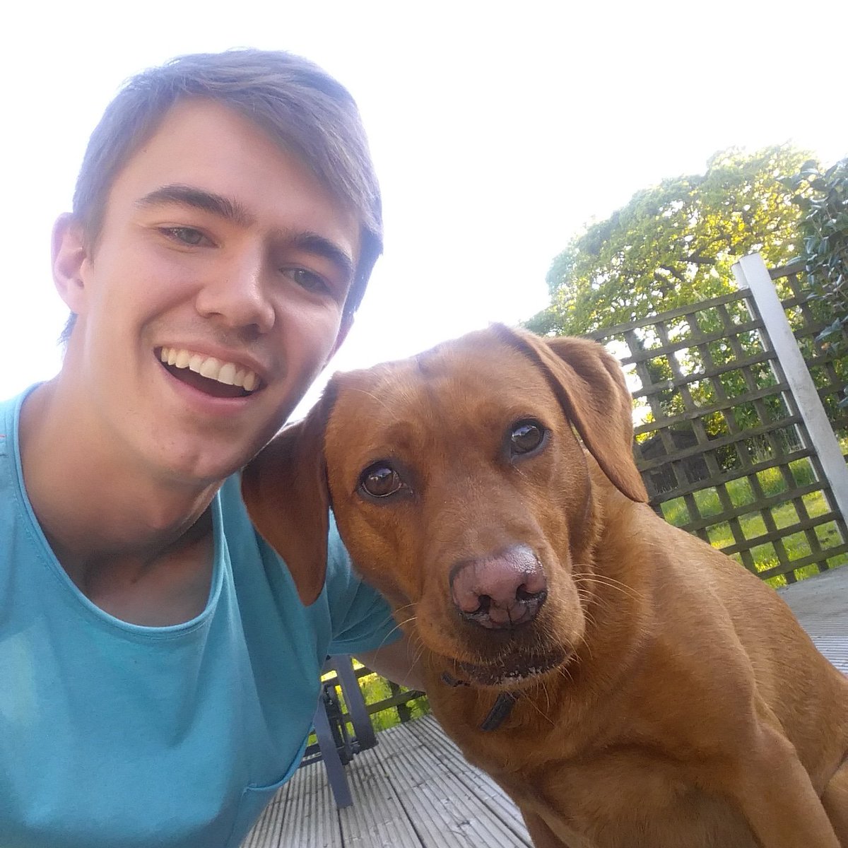 AndrewLloydy's tweet photo. Miss taking the dog out everywhere on adventures 👎 https://t.co/SwEP6SDG94