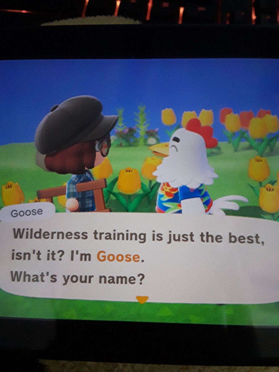 goose?! you, sir, are CLEARLY a rooster, and you are full of lies. i will not have you.